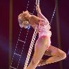 Cirque de Celebrite