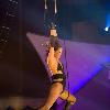 Cirque de Celebrite -- 2
